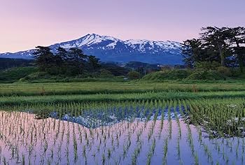 歴史的風景カード10枚とビューワー s-l1200.jpg